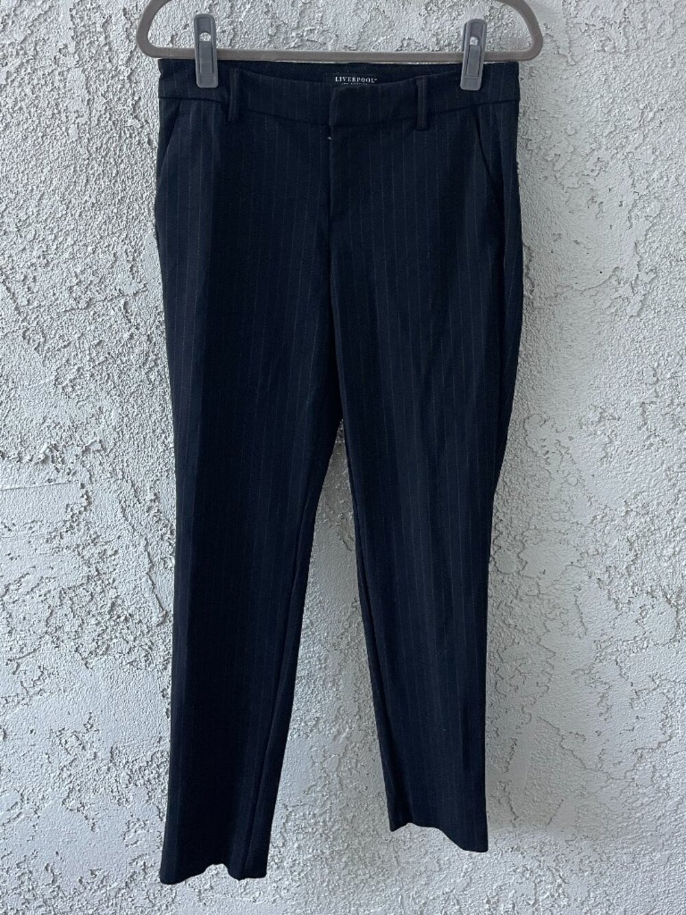 Liverpool Pinstripe Ankle Pants Size 6/28 Black Bronze Corpcore Dark Academia